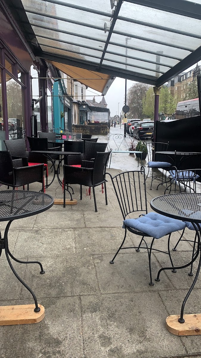 The Italian Connection